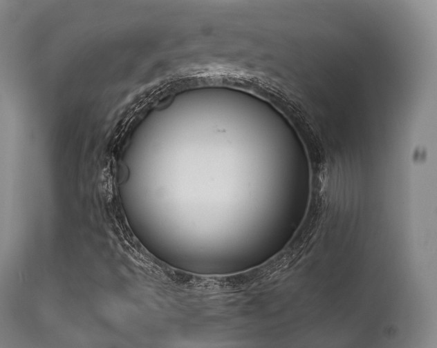 X0000112201493200908141421