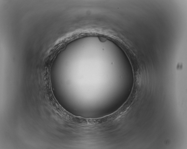 X0000112201494200908141421