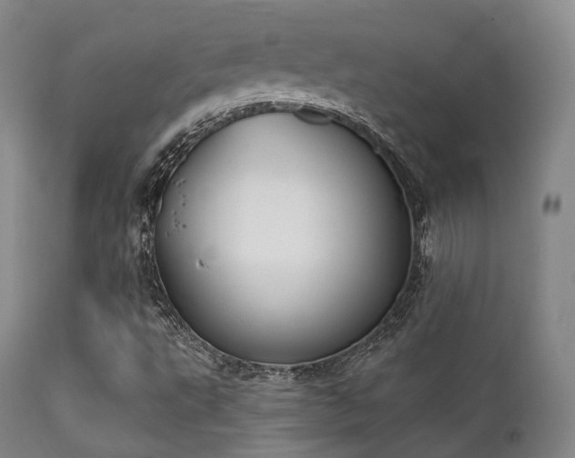 X0000112201495200908141421
