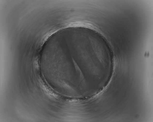 X0000112201497200908141421