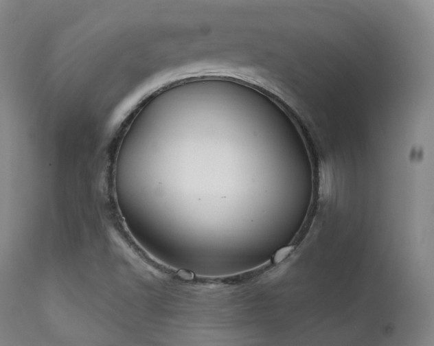 X0000112201502200908141421