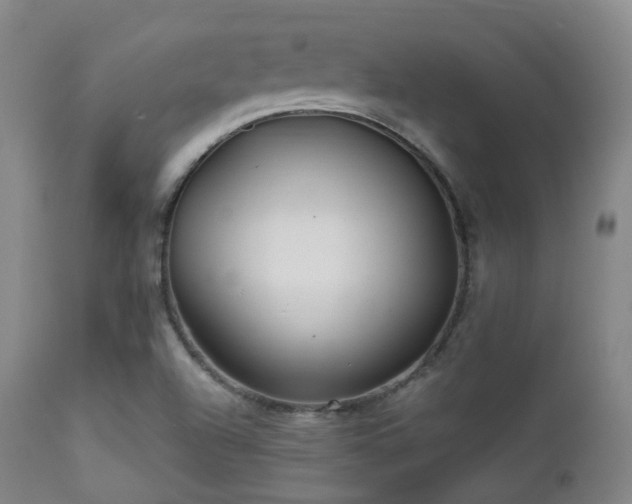 X0000112201504200908141421