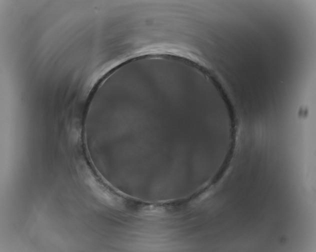 X0000112201505200908141421