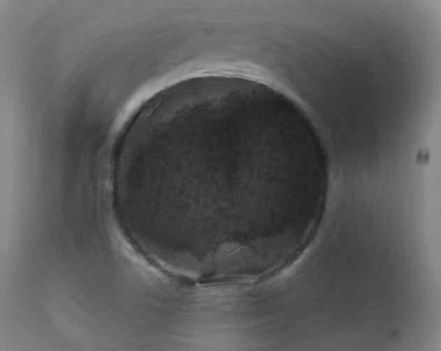 X0000112201506200908141421
