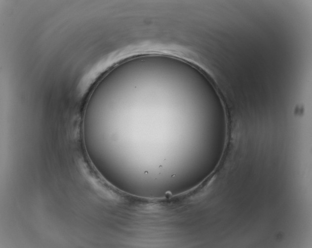 X0000112201507200908141421