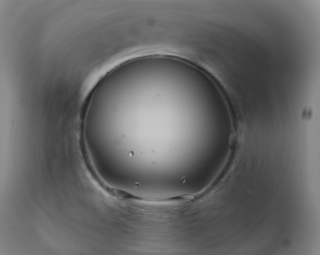 X0000112201508200908141421