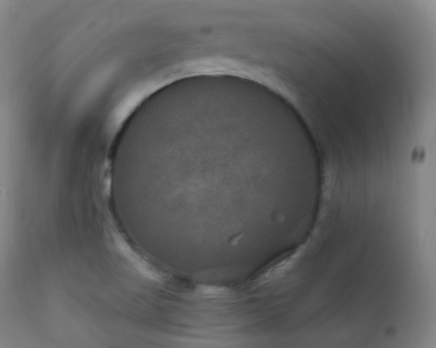 X0000112201509200908141421