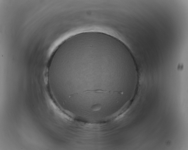 X0000112201510200908141421