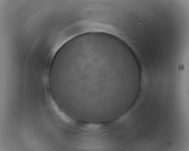 X0000112201513200908141422