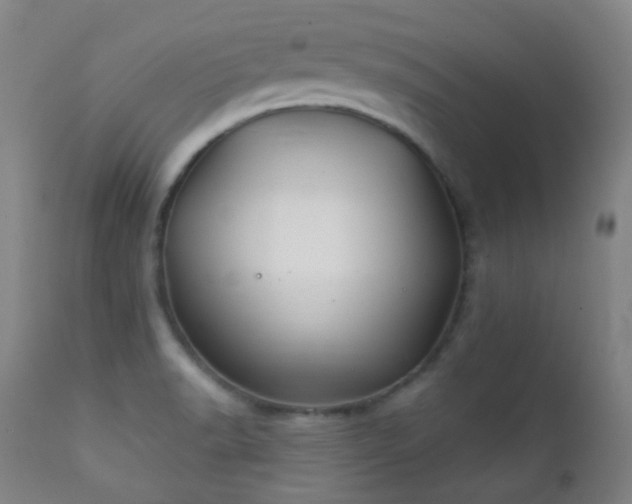 X0000112201518200908141422