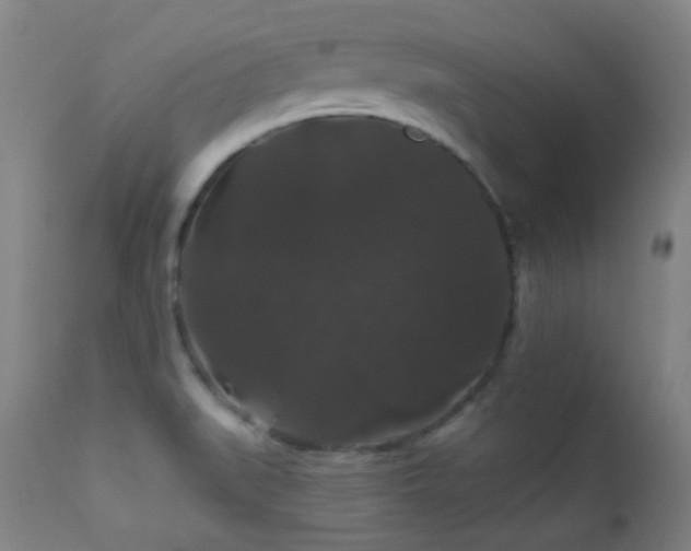 X0000112201519200908141422