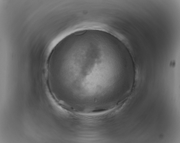 X0000112201520200908141422