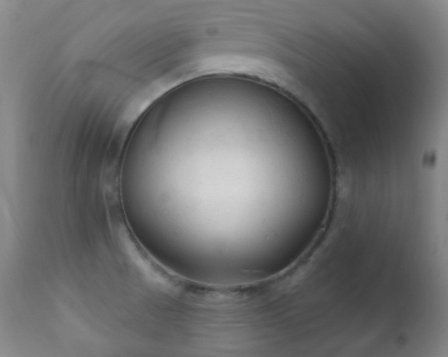 X0000112201521200908141422
