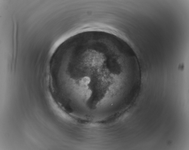 X0000112201522200908141422