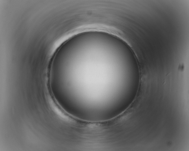 X0000112201523200908141422
