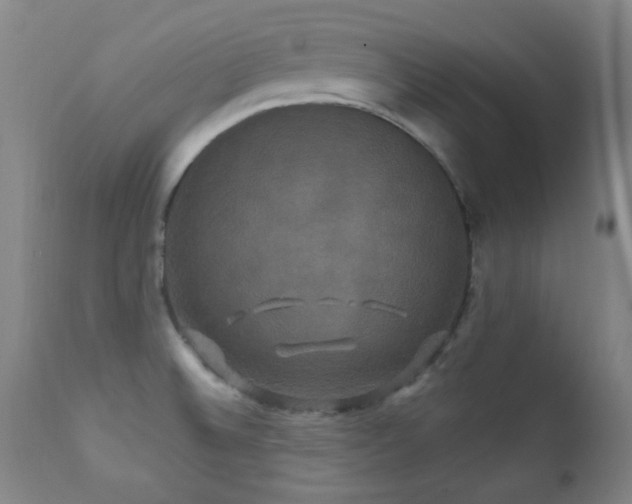 X0000112201524200908141422