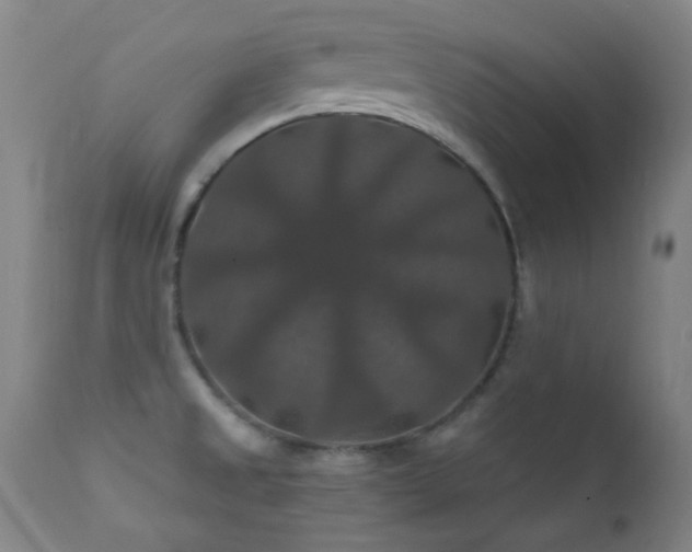 X0000112201525200908141422
