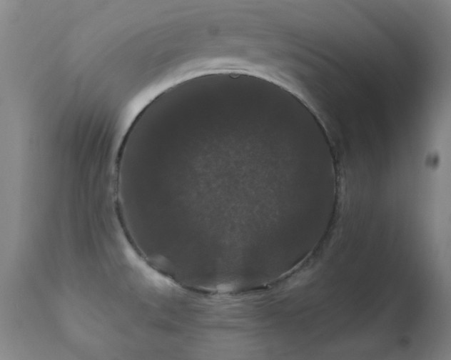 X0000112201527200908141422