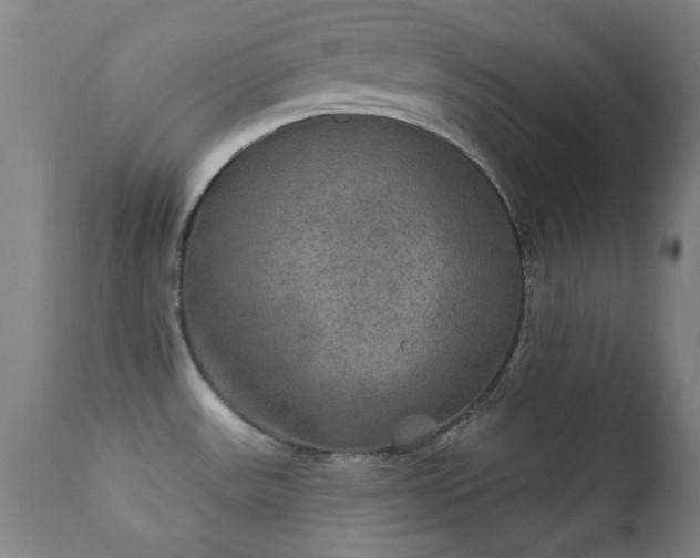 X0000112201531200908141422