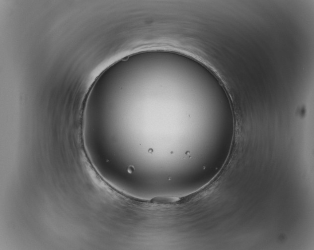 X0000112201534200908141422