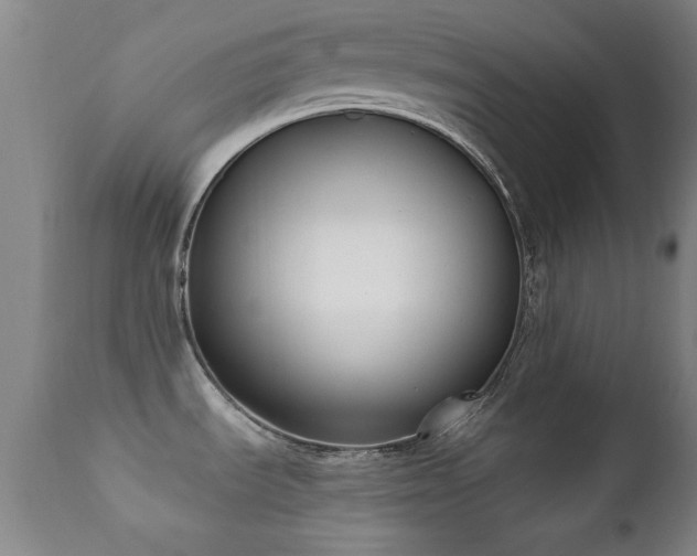 X0000112201535200908141422