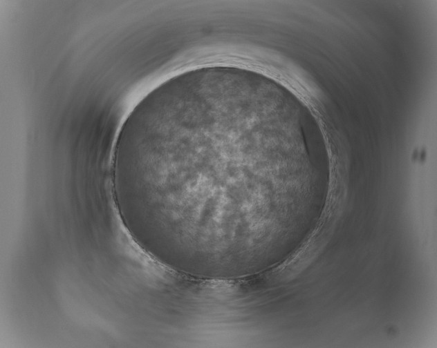 X0000112201536200908141422