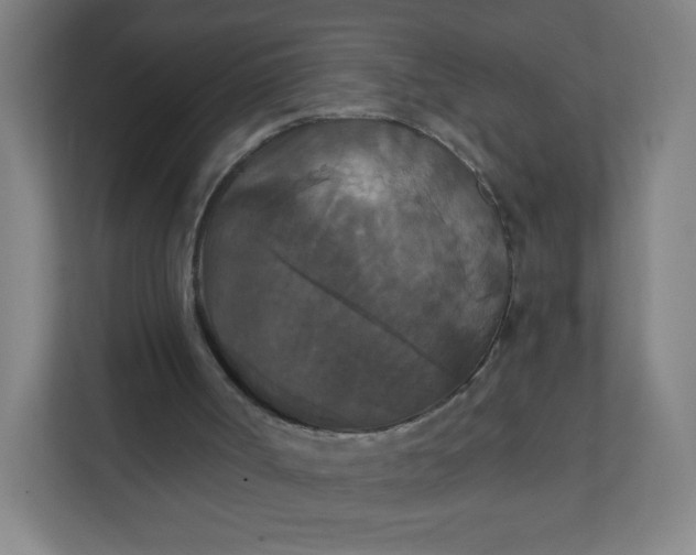 X0000112200002200908211550