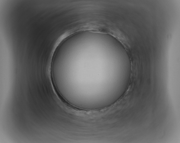 X0000112200003200908211550