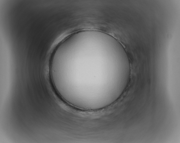 X0000112200005200908211550