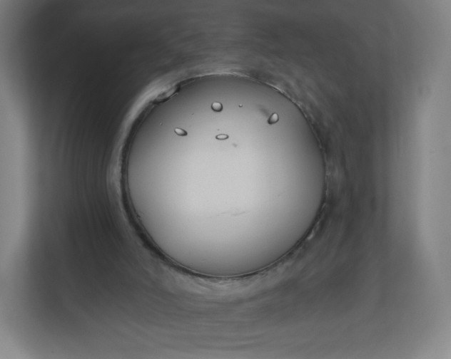 X0000112200006200908211550