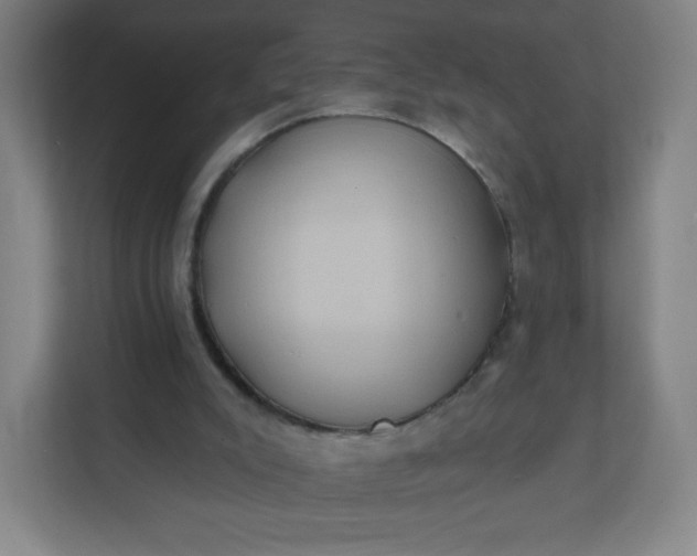 X0000112200007200908211550