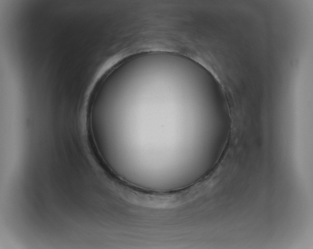 X0000112200008200908211550