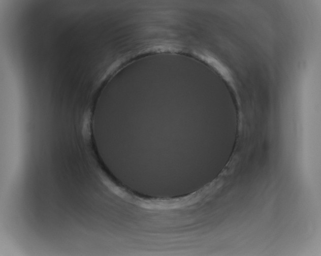 X0000112200009200908211550