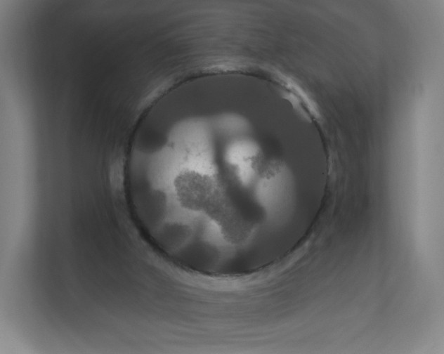 X0000112200010200908211550