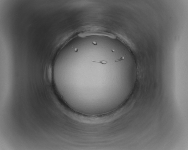 X0000112200014200908211550