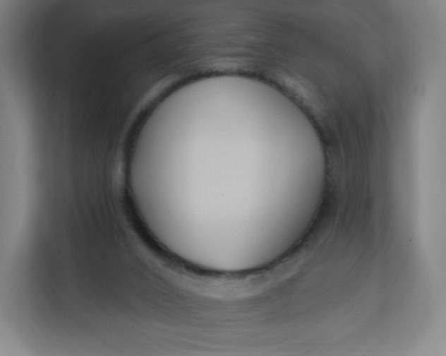 X0000112200016200908211550