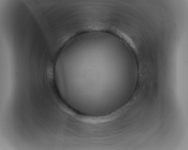 X0000112200017200908211550