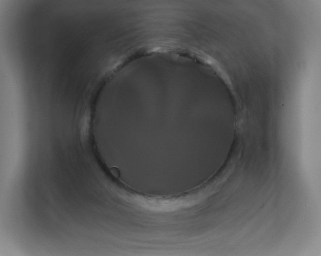 X0000112200018200908211549