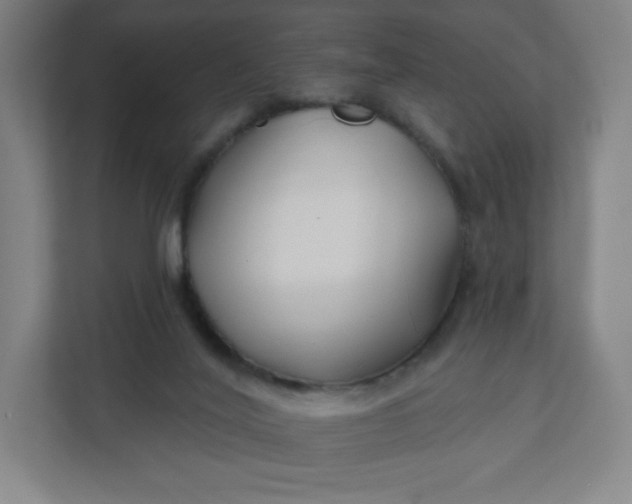 X0000112200020200908211549