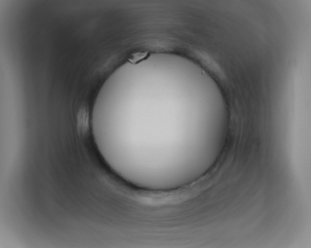 X0000112200021200908211549