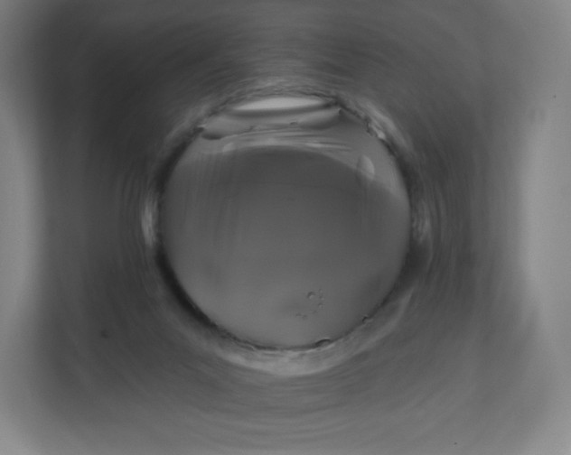 X0000112200023200908211549