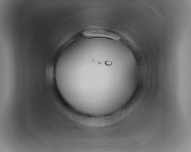 X0000112200024200908211549