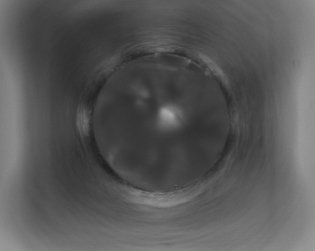 X0000112200026200908211549