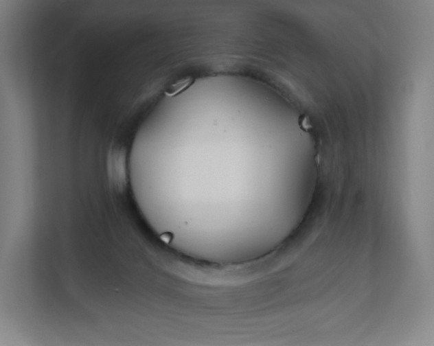 X0000112200028200908211549