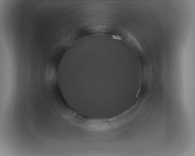 X0000112200029200908211549