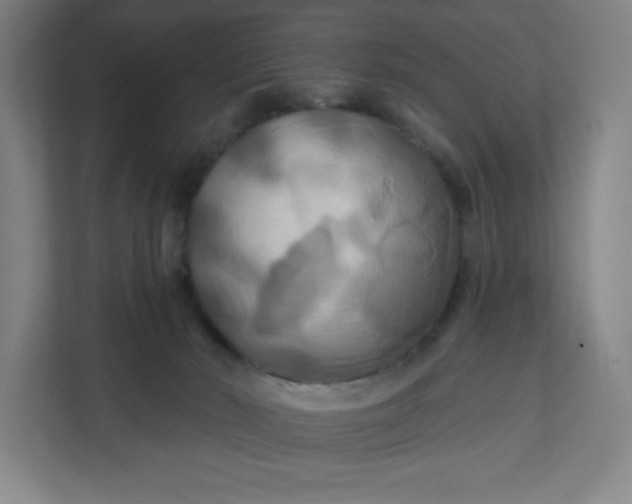 X0000112200030200908211549