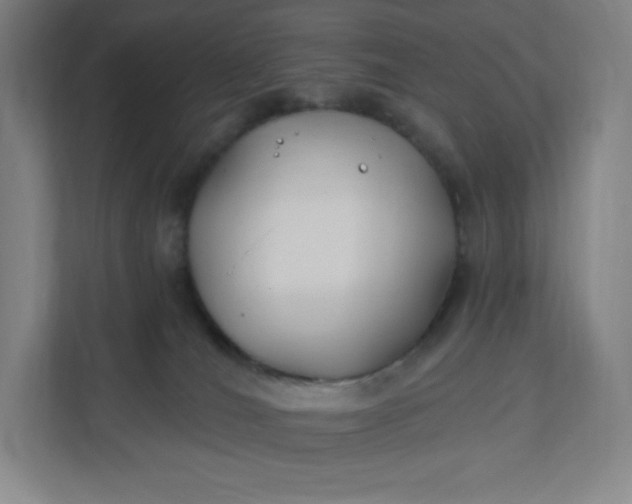 X0000112200036200908211549