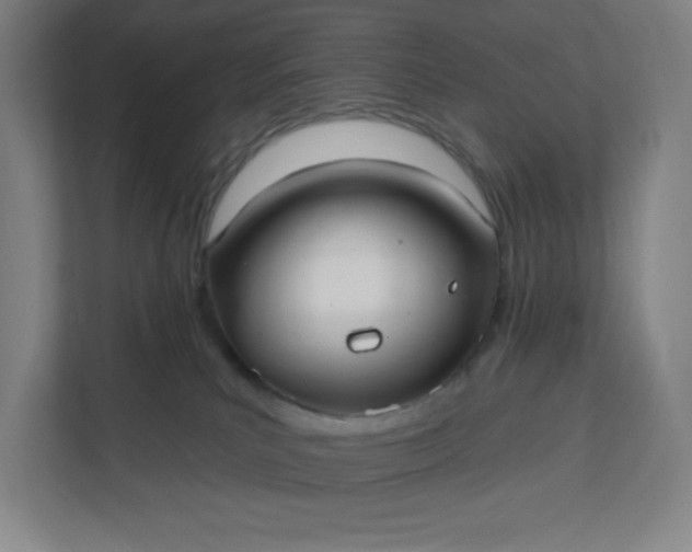 X0000112200039200908211549