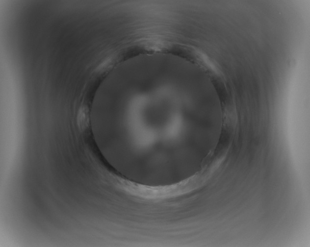 X0000112200043200908211549