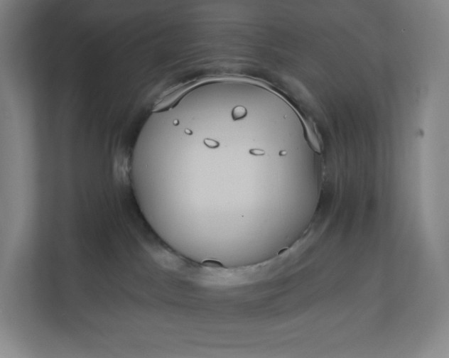 X0000112200045200908211549